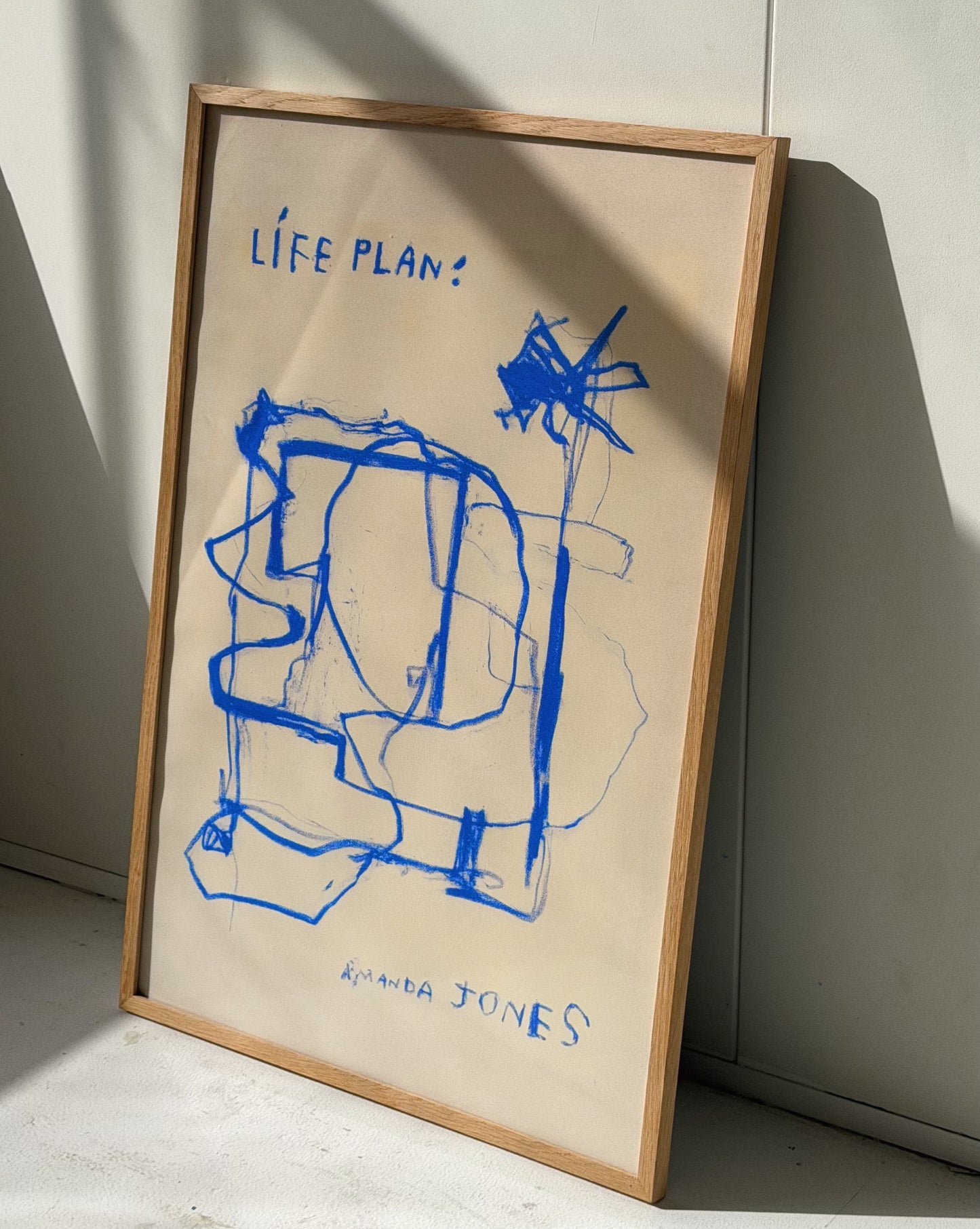 'Life Plan'