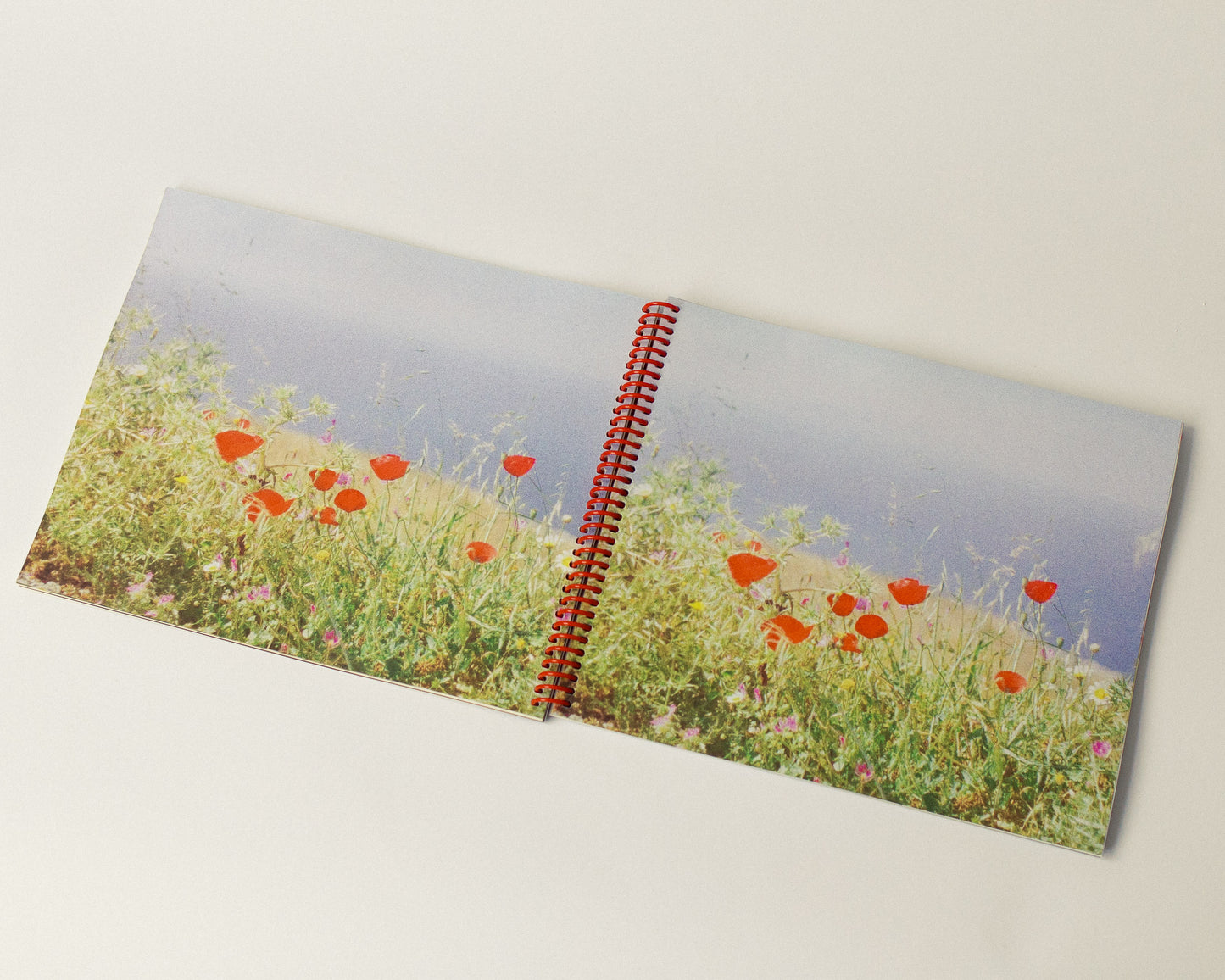 'The Colour of Water' the book - (very) limited edition PREORDER