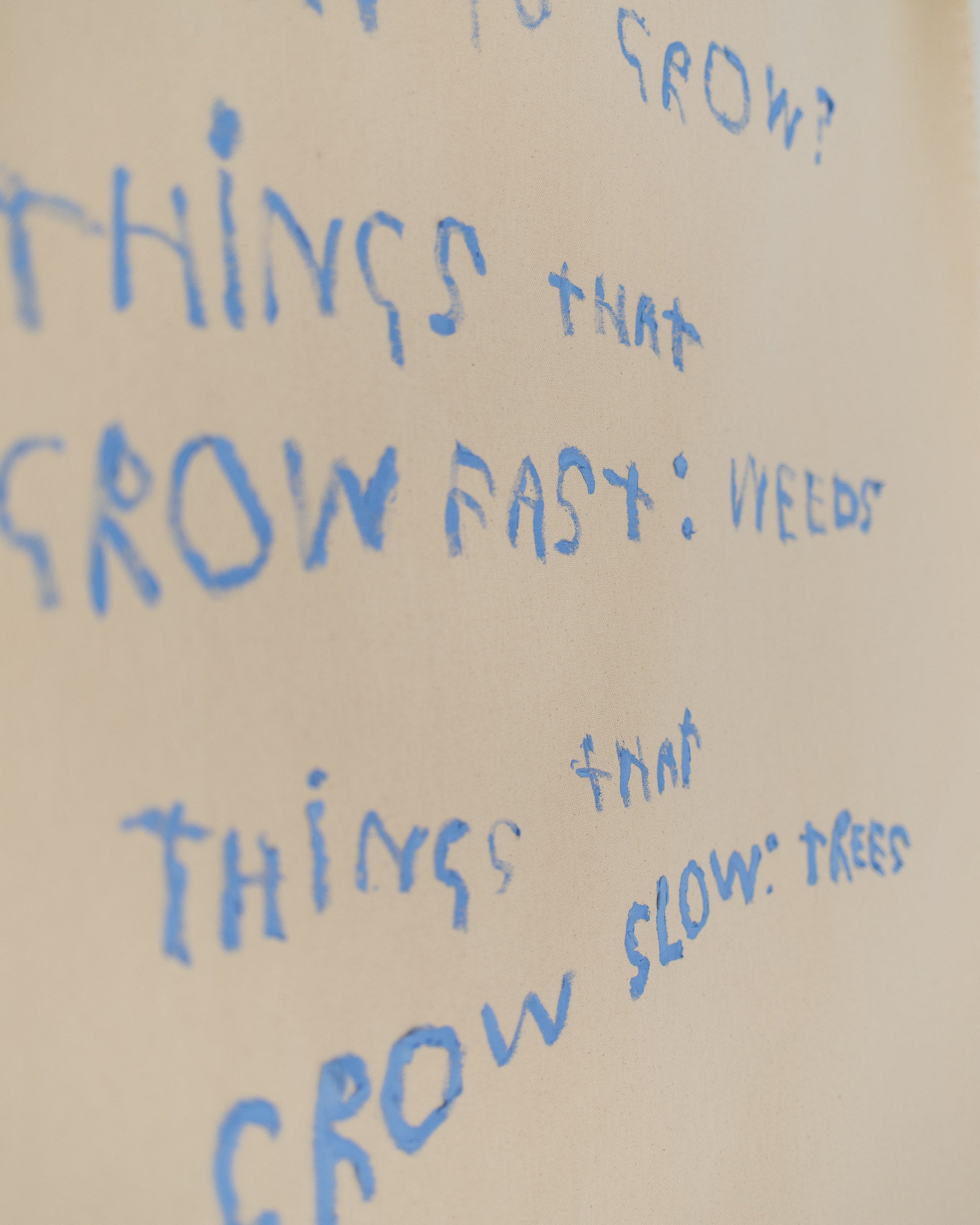 'Why do we rush to grow?'