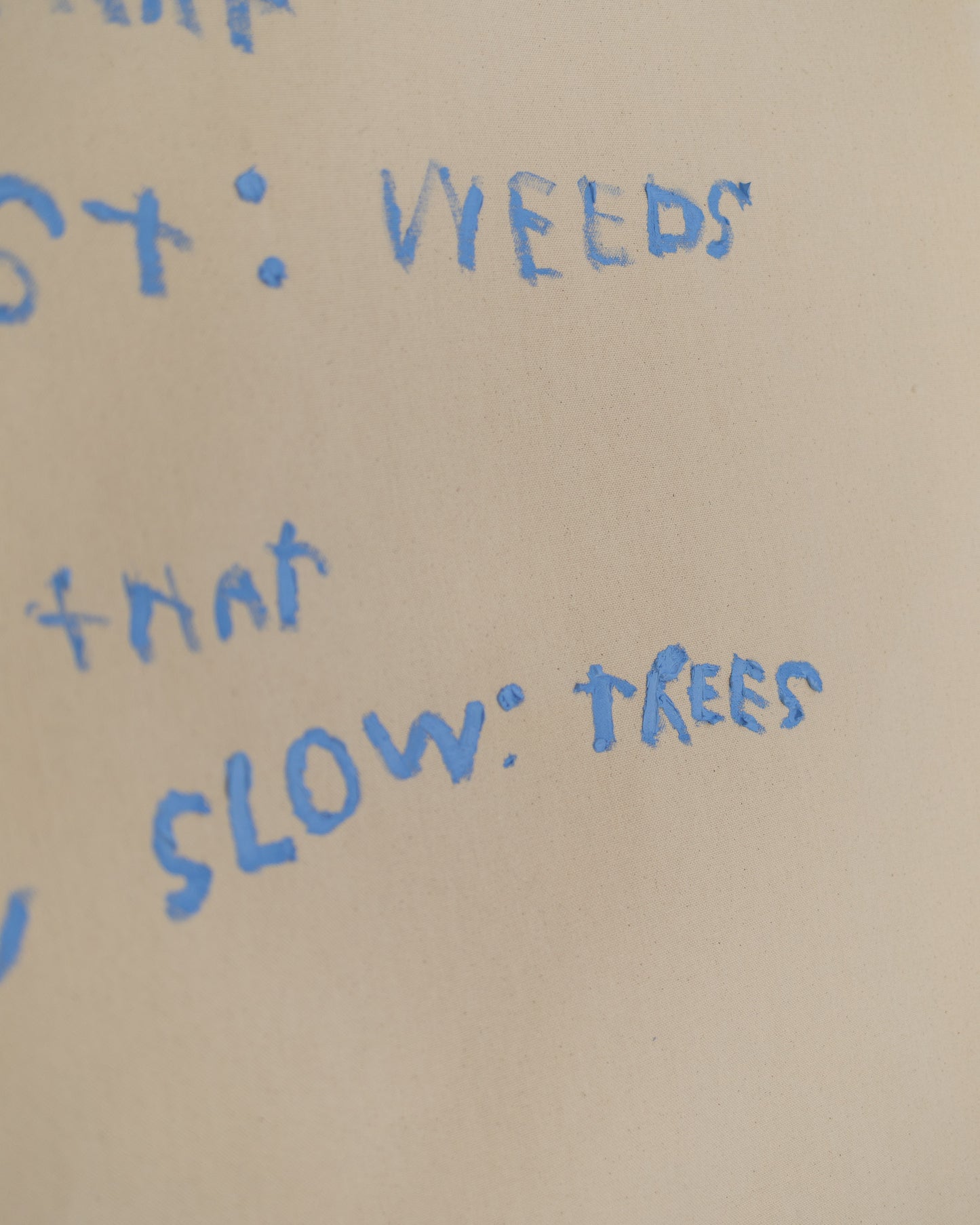'Why do we rush to grow?'