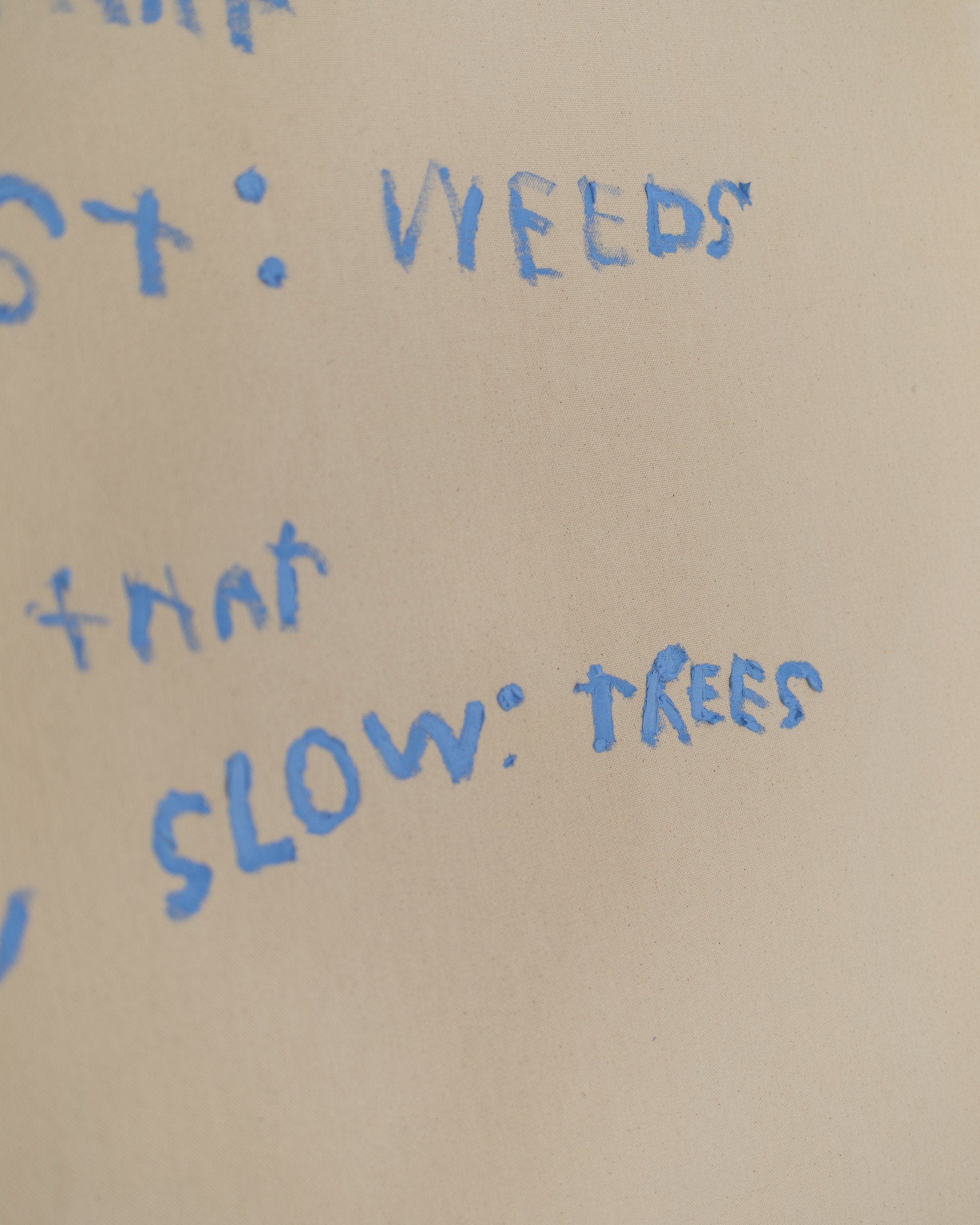'Why do we rush to grow?'