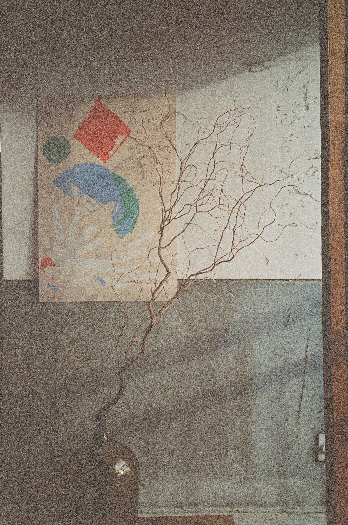 'Daydream in the Sun'