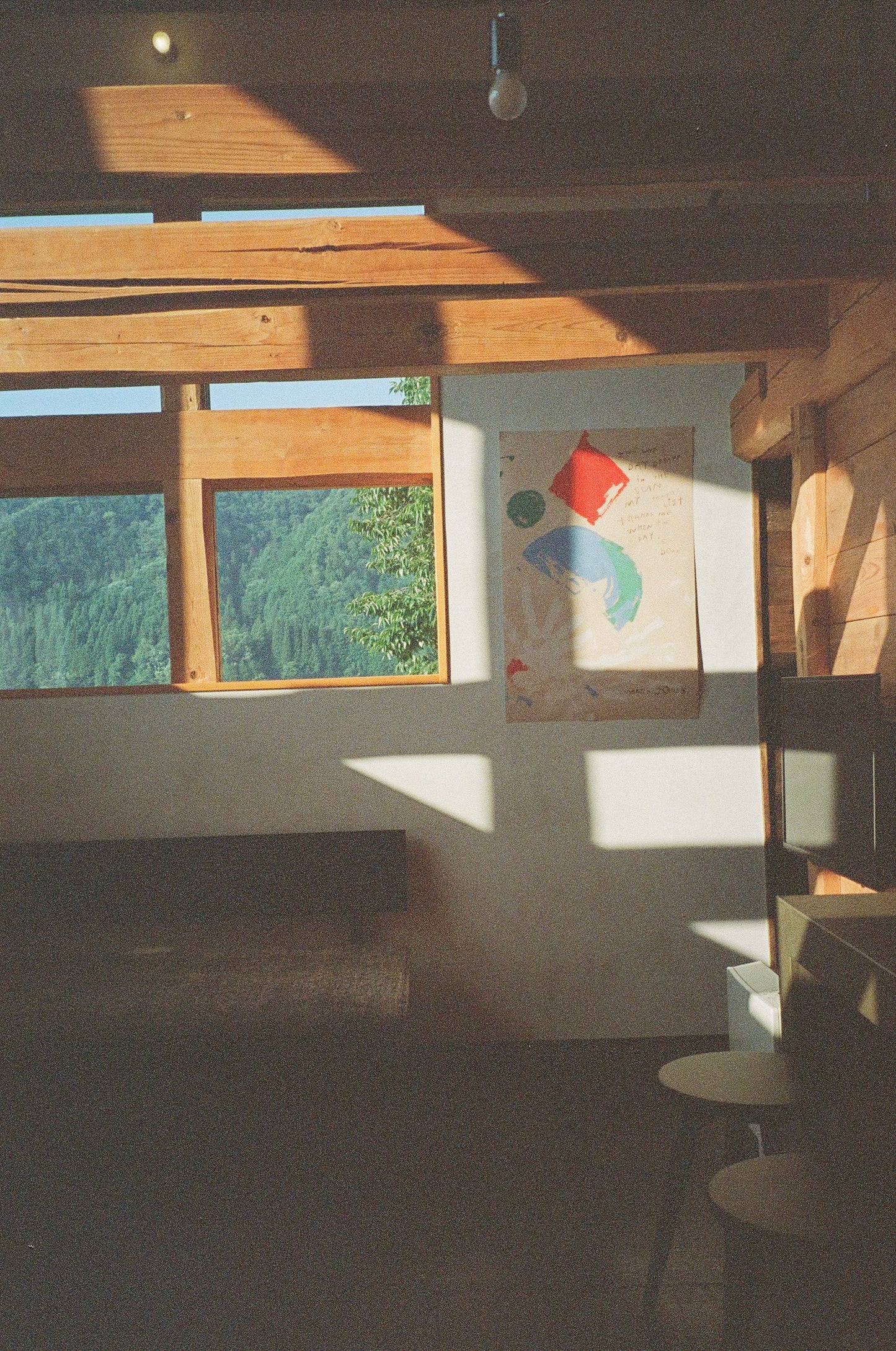 'Daydream in the Sun'