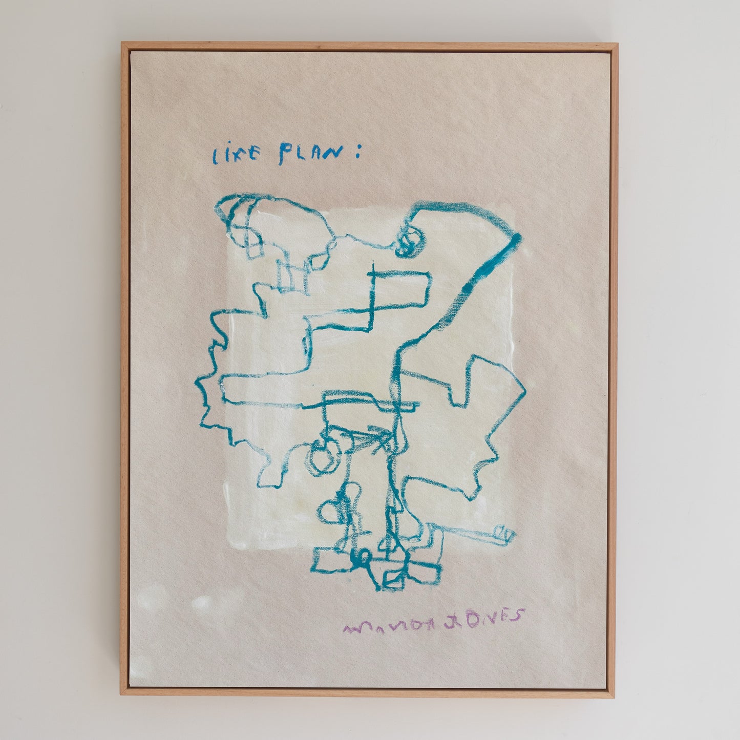 'Life Plan #5'