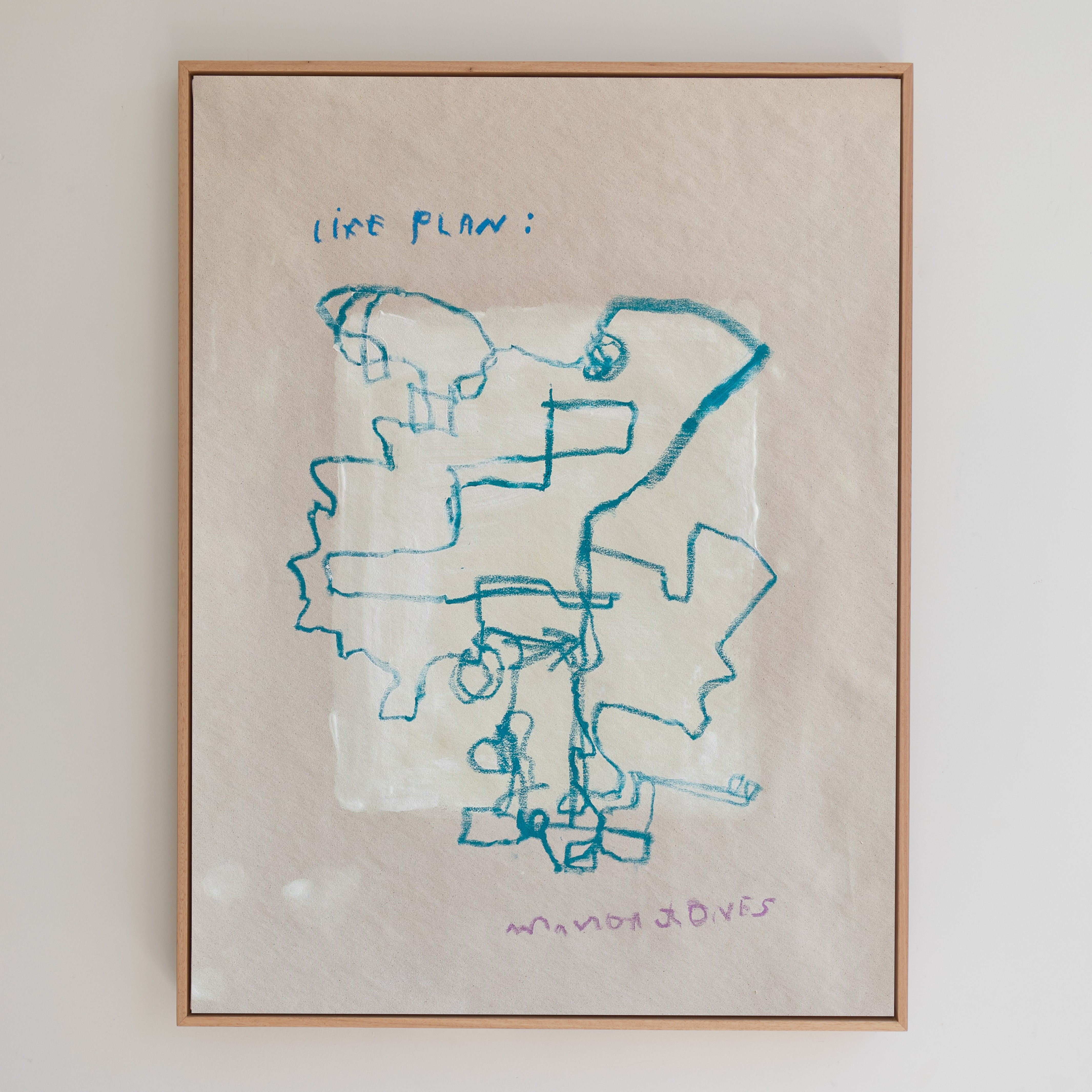 'Life Plan #5'