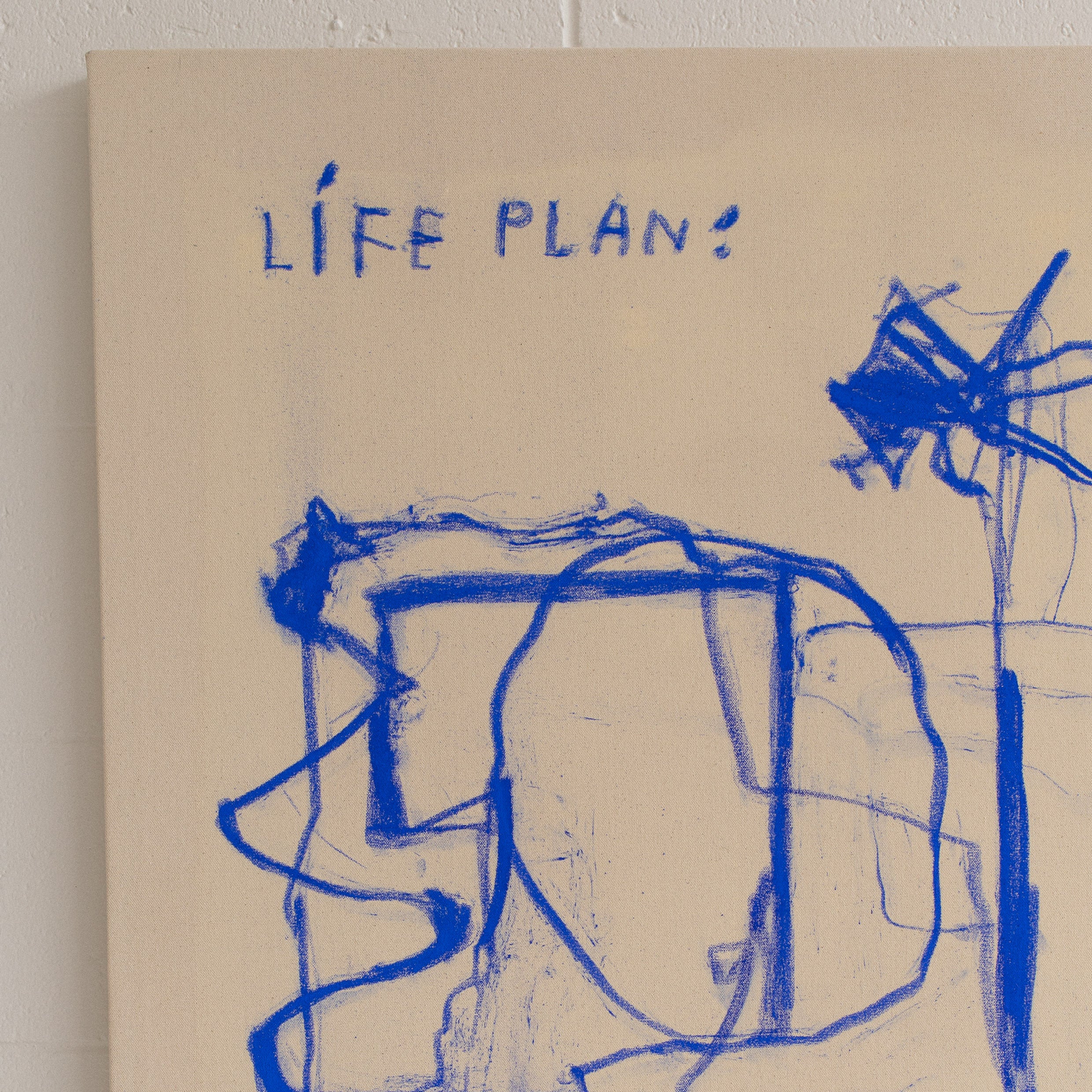 'Life Plan'